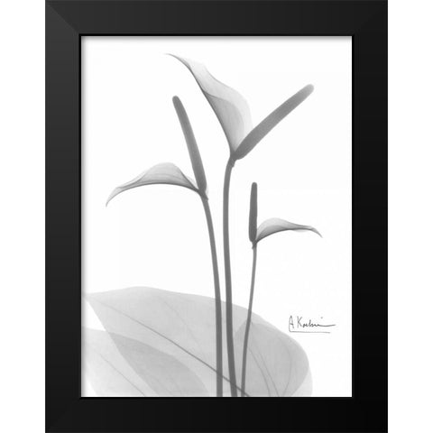 Flamingo in BandW Black Modern Wood Framed Art Print by Koetsier, Albert