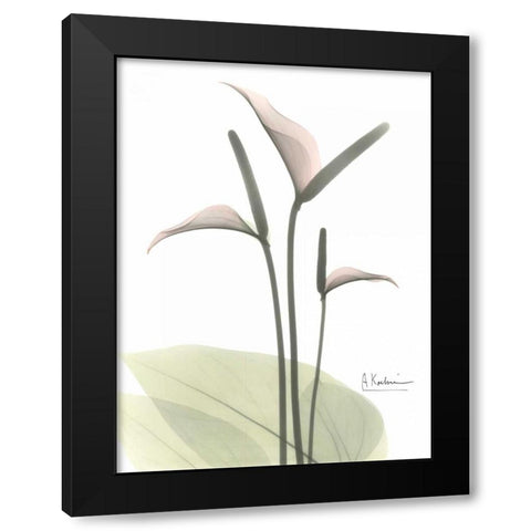 Flamingo in Color Black Modern Wood Framed Art Print with Double Matting by Koetsier, Albert