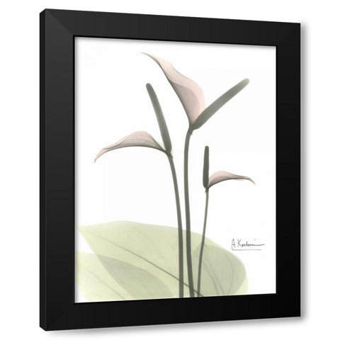 Flamingo in Color Black Modern Wood Framed Art Print by Koetsier, Albert