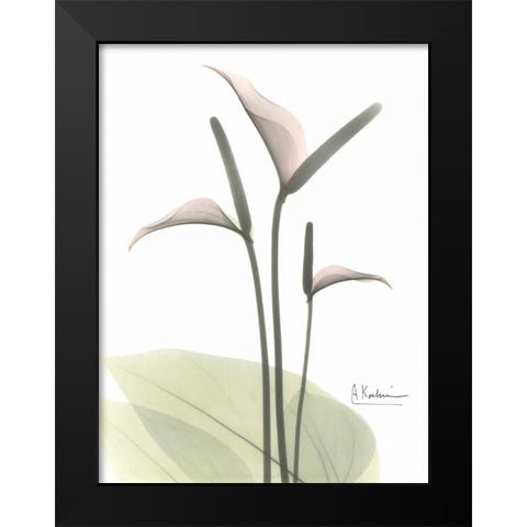 Flamingo in Color Black Modern Wood Framed Art Print by Koetsier, Albert