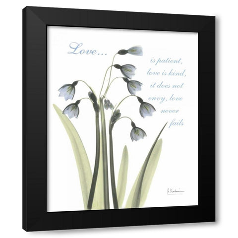 Snow Drop - Love Black Modern Wood Framed Art Print with Double Matting by Koetsier, Albert