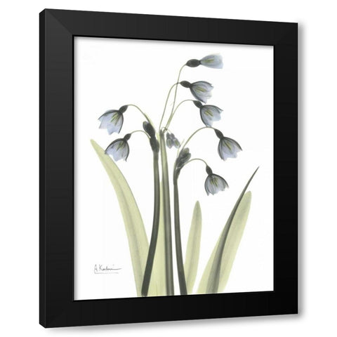 Snow Drop in Color Black Modern Wood Framed Art Print with Double Matting by Koetsier, Albert