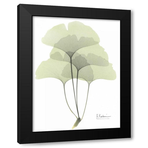 Gingko in Pale Green Black Modern Wood Framed Art Print with Double Matting by Koetsier, Albert