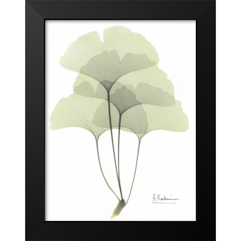 Gingko in Pale Green Black Modern Wood Framed Art Print by Koetsier, Albert