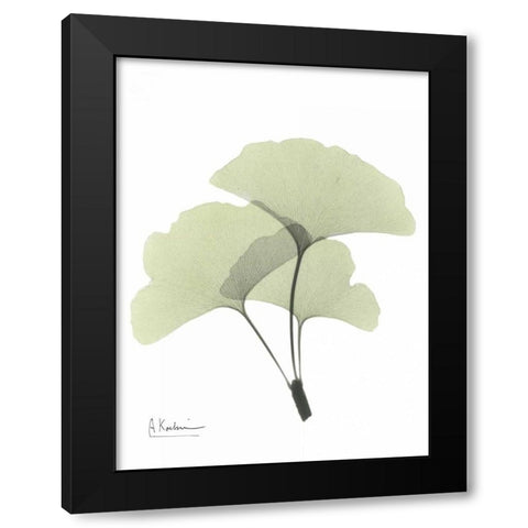 Gingko in Pale Green 2 Black Modern Wood Framed Art Print with Double Matting by Koetsier, Albert