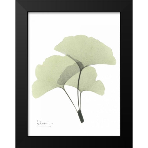 Gingko in Pale Green 2 Black Modern Wood Framed Art Print by Koetsier, Albert