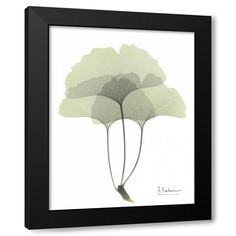 Gingko in Pale Green 3 Black Modern Wood Framed Art Print with Double Matting by Koetsier, Albert