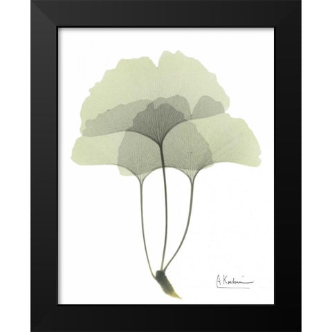 Gingko in Pale Green 3 Black Modern Wood Framed Art Print by Koetsier, Albert