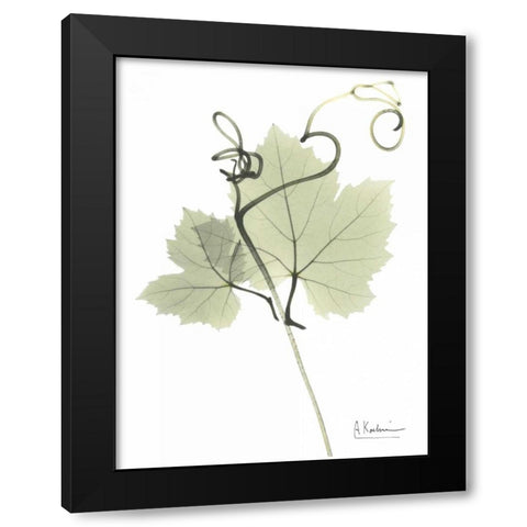 Grape Vine in Pale Green Black Modern Wood Framed Art Print with Double Matting by Koetsier, Albert