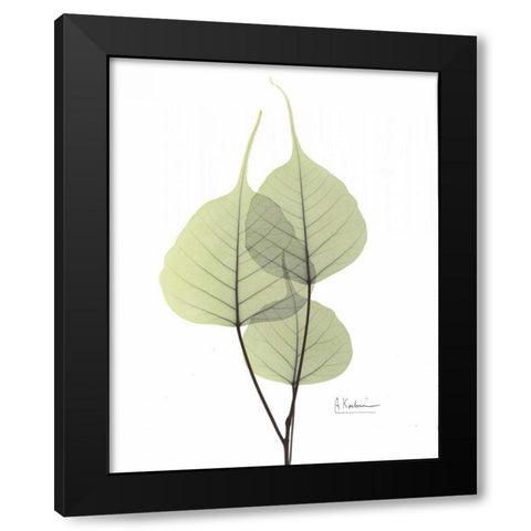 Bo Tree in Pale Green 2 Black Modern Wood Framed Art Print with Double Matting by Koetsier, Albert