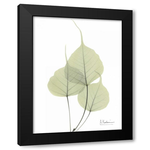 Bo Tree in Pale Green Black Modern Wood Framed Art Print with Double Matting by Koetsier, Albert