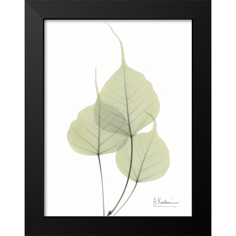 Bo Tree in Pale Green Black Modern Wood Framed Art Print by Koetsier, Albert