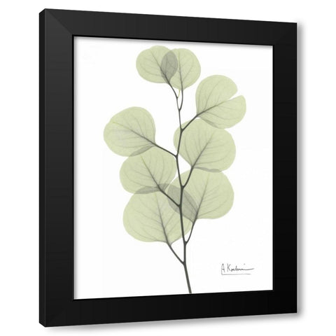 Eucalyptus in Pale Green Black Modern Wood Framed Art Print with Double Matting by Koetsier, Albert