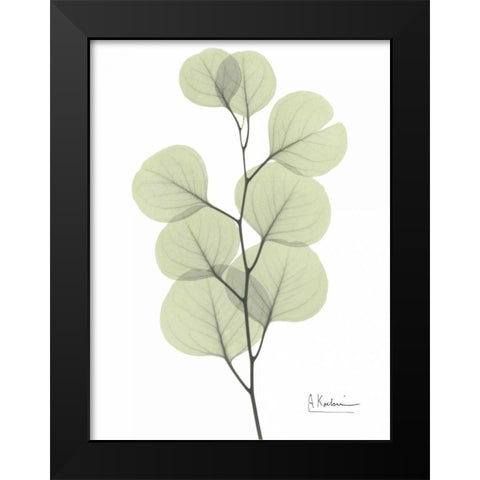 Eucalyptus in Pale Green Black Modern Wood Framed Art Print by Koetsier, Albert