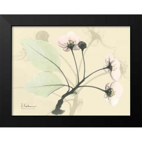 Wild Cherry on Beige Black Modern Wood Framed Art Print by Koetsier, Albert