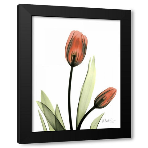 Red Tulips Black Modern Wood Framed Art Print with Double Matting by Koetsier, Albert