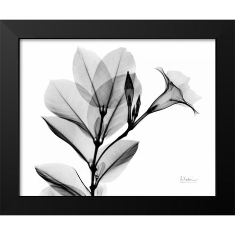 Mandelilla L265 Black Modern Wood Framed Art Print by Koetsier, Albert