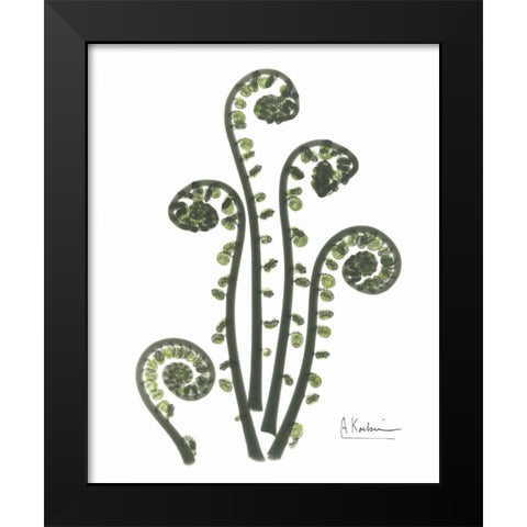 Fiddle Fern in Green Black Modern Wood Framed Art Print by Koetsier, Albert