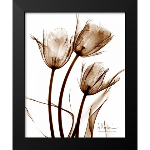 Tulip Arrangement in Brown Black Modern Wood Framed Art Print by Koetsier, Albert