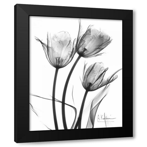 Tulip Arrangement in BandW Black Modern Wood Framed Art Print with Double Matting by Koetsier, Albert