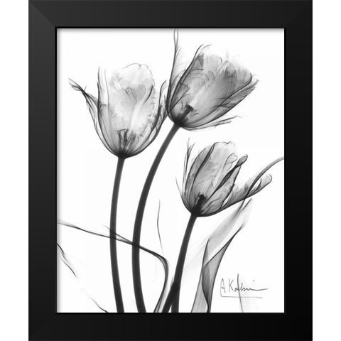 Tulip Arrangement in BandW Black Modern Wood Framed Art Print by Koetsier, Albert