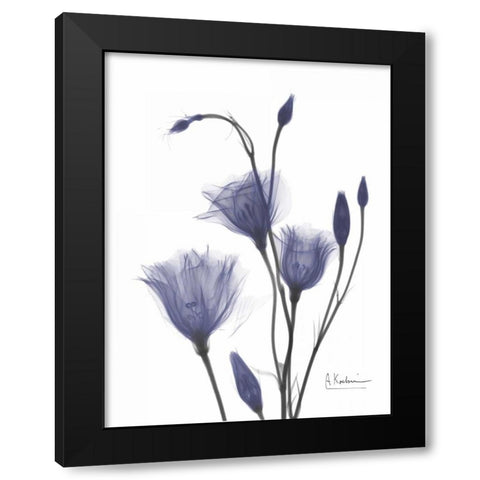 Gentian in Purple 2 Black Modern Wood Framed Art Print with Double Matting by Koetsier, Albert