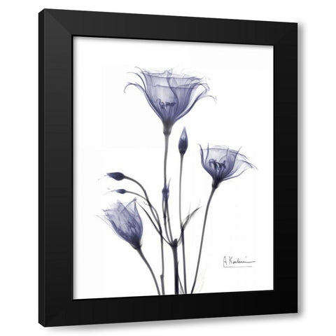 Gentian in Purple Black Modern Wood Framed Art Print with Double Matting by Koetsier, Albert