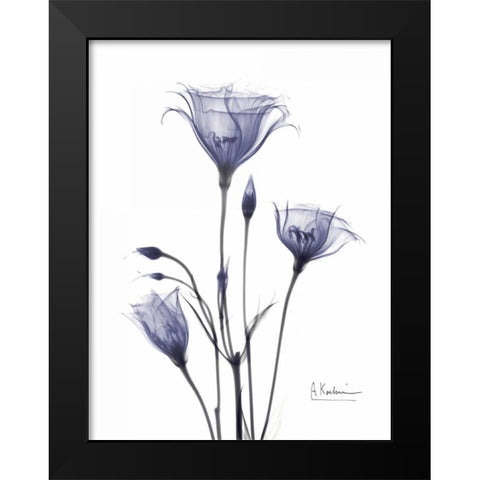 Gentian in Purple Black Modern Wood Framed Art Print by Koetsier, Albert