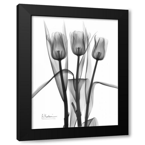 Triplet Tulips in BandW Black Modern Wood Framed Art Print with Double Matting by Koetsier, Albert