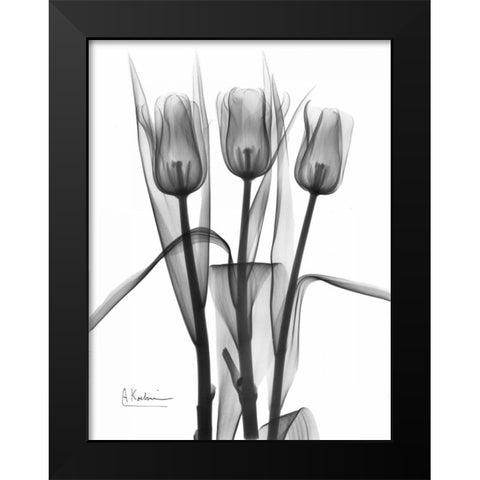 Triplet Tulips in BandW Black Modern Wood Framed Art Print by Koetsier, Albert