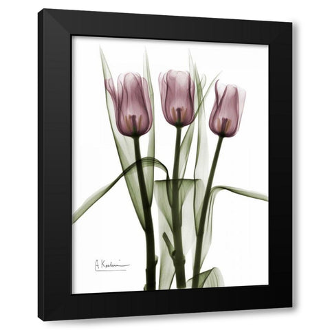 Triplet Tulips in Color Black Modern Wood Framed Art Print with Double Matting by Koetsier, Albert