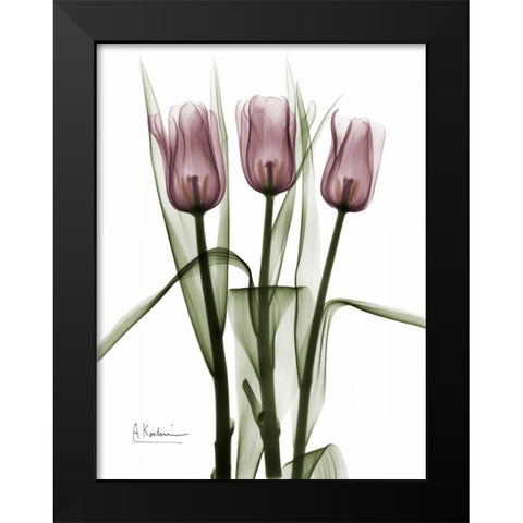 Triplet Tulips in Color Black Modern Wood Framed Art Print by Koetsier, Albert