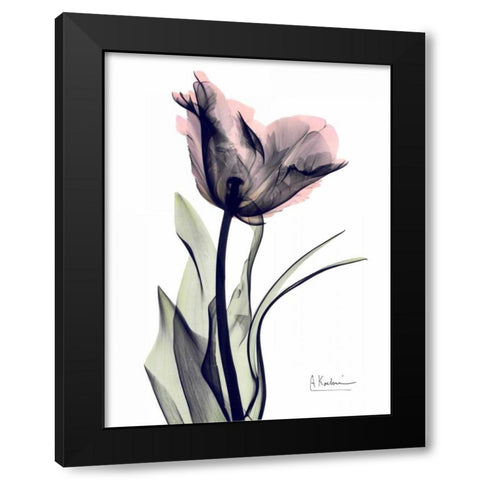 Single Tulip in Color Black Modern Wood Framed Art Print with Double Matting by Koetsier, Albert