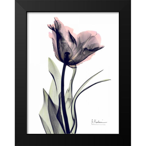 Single Tulip in Color Black Modern Wood Framed Art Print by Koetsier, Albert