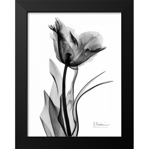 Single Tulip in BandW Black Modern Wood Framed Art Print by Koetsier, Albert