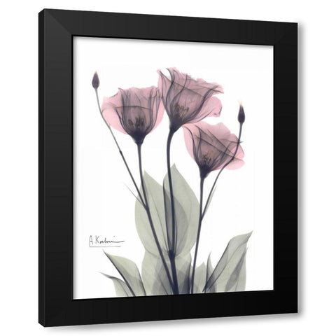 Three Gentian in Color Black Modern Wood Framed Art Print with Double Matting by Koetsier, Albert