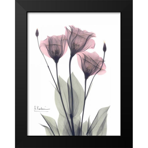 Three Gentian in Color Black Modern Wood Framed Art Print by Koetsier, Albert