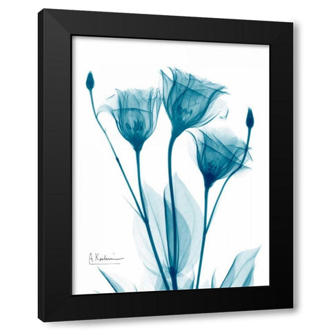 Three Gentian in Blue Black Modern Wood Framed Art Print with Double Matting by Koetsier, Albert