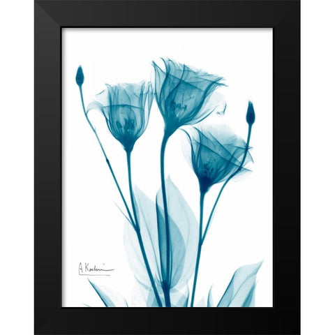 Three Gentian in Blue Black Modern Wood Framed Art Print by Koetsier, Albert