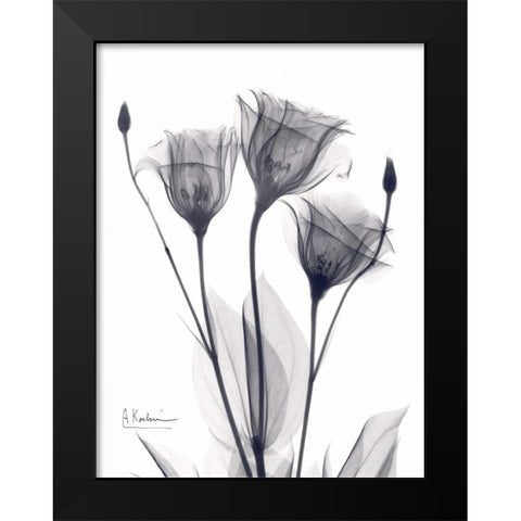 Three Gentian in BandW Black Modern Wood Framed Art Print by Koetsier, Albert