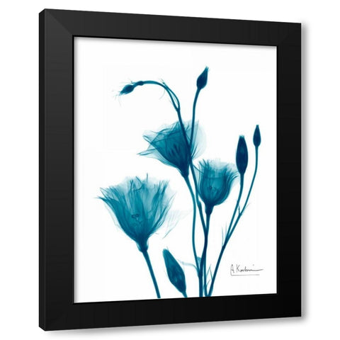 Bouquet of Gentian in Blue Black Modern Wood Framed Art Print with Double Matting by Koetsier, Albert
