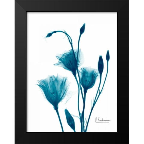 Bouquet of Gentian in Blue Black Modern Wood Framed Art Print by Koetsier, Albert