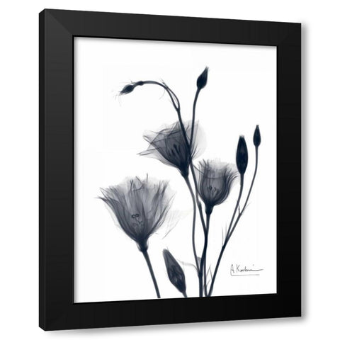 Bouquet of Gentian in BandW2 Black Modern Wood Framed Art Print with Double Matting by Koetsier, Albert