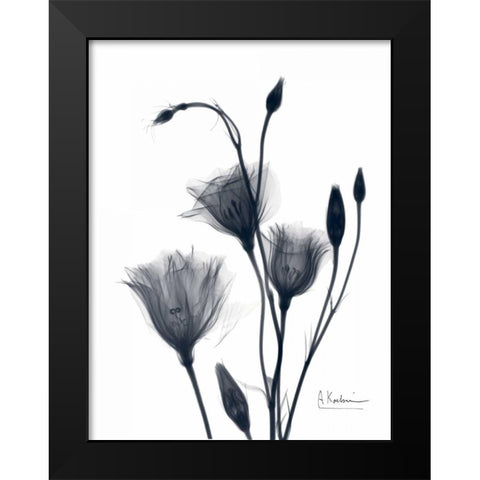 Bouquet of Gentian in BandW2 Black Modern Wood Framed Art Print by Koetsier, Albert