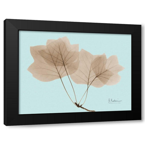 Tulip Tree in Brown on Blue Black Modern Wood Framed Art Print with Double Matting by Koetsier, Albert