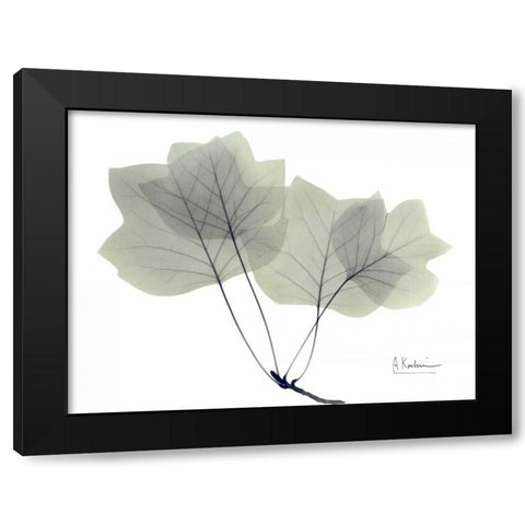 Tulip Tree in Green Black Modern Wood Framed Art Print with Double Matting by Koetsier, Albert