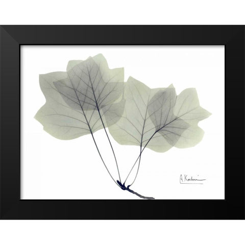 Tulip Tree in Green Black Modern Wood Framed Art Print by Koetsier, Albert