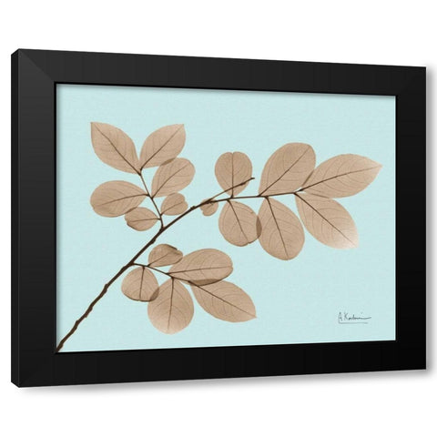 Myrtle Tree in Brown on Blue Black Modern Wood Framed Art Print with Double Matting by Koetsier, Albert