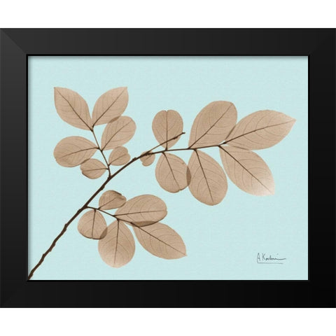 Myrtle Tree in Brown on Blue Black Modern Wood Framed Art Print by Koetsier, Albert