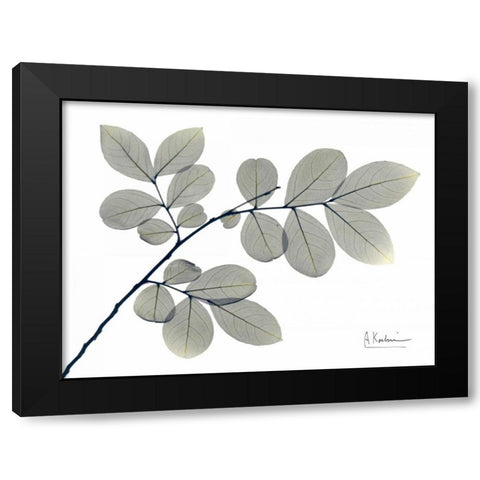 Myrtle Tree in Green Black Modern Wood Framed Art Print with Double Matting by Koetsier, Albert